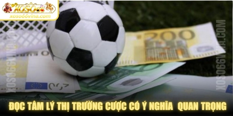 Kinh nghiệm đọc tâm lý thị trường cược có ý nghĩa vô cùng quan trọng