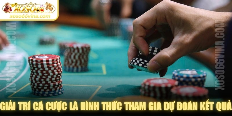 Giải trí cá cược là hình thức tham gia dự đoán kết quả của các trò chơi